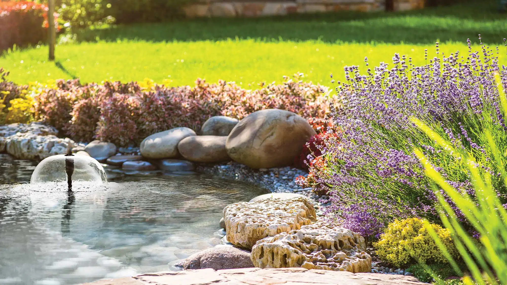 OASE – Premium Innovation for Ponds and Water Features